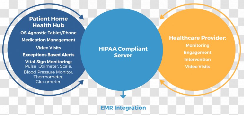 Health Care Hồng Ngọc General Hospital Patient - Medication Compliance Brochure Transparent PNG