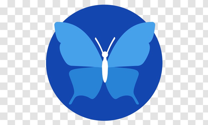Butterfly Dating Coach Coaching Lifestyle Guru Insect - Blue Transparent PNG