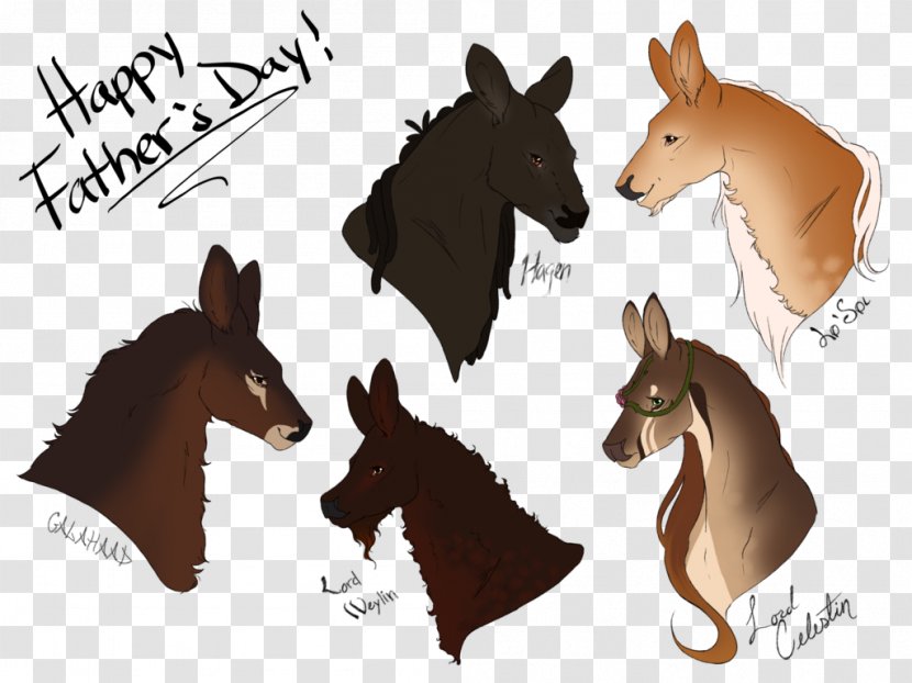 Mule Mustang Foal Stallion Halter - Brown - Happy Daddy Transparent PNG