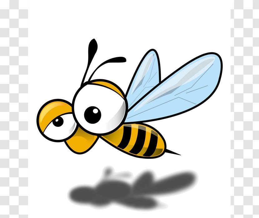 Honey Bee Insect Drawing Beehive Transparent PNG