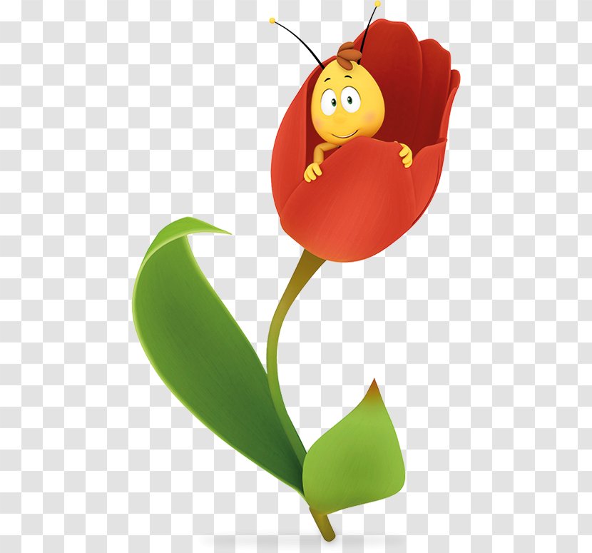 Spring Winter Nature Flower Image - Tulip - Nistkasten Transparent PNG