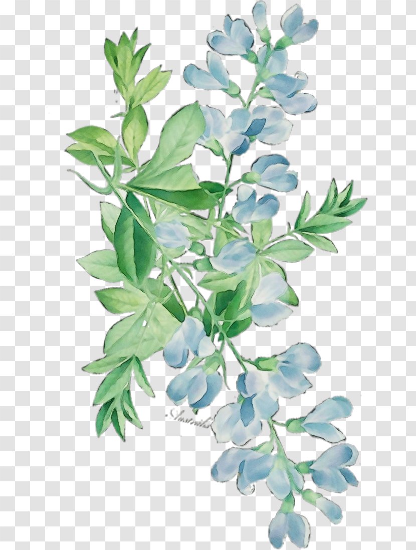 Watercolor Flower Background - Floral Design - Twig Herb Transparent PNG