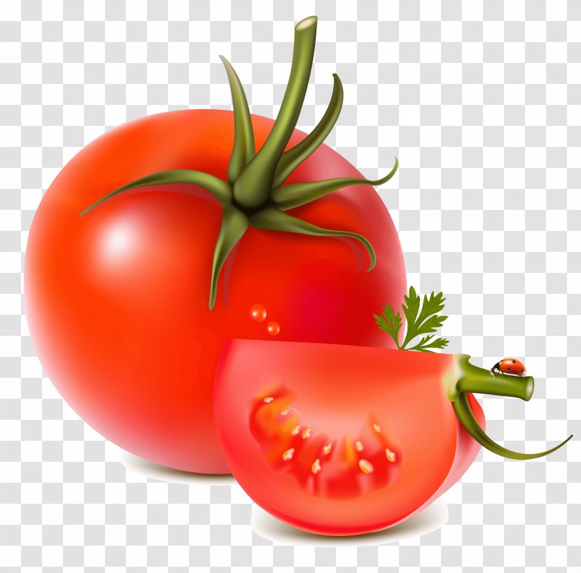 Vegetable Tomato Fruit Produce - Bell Pepper - Image Transparent PNG