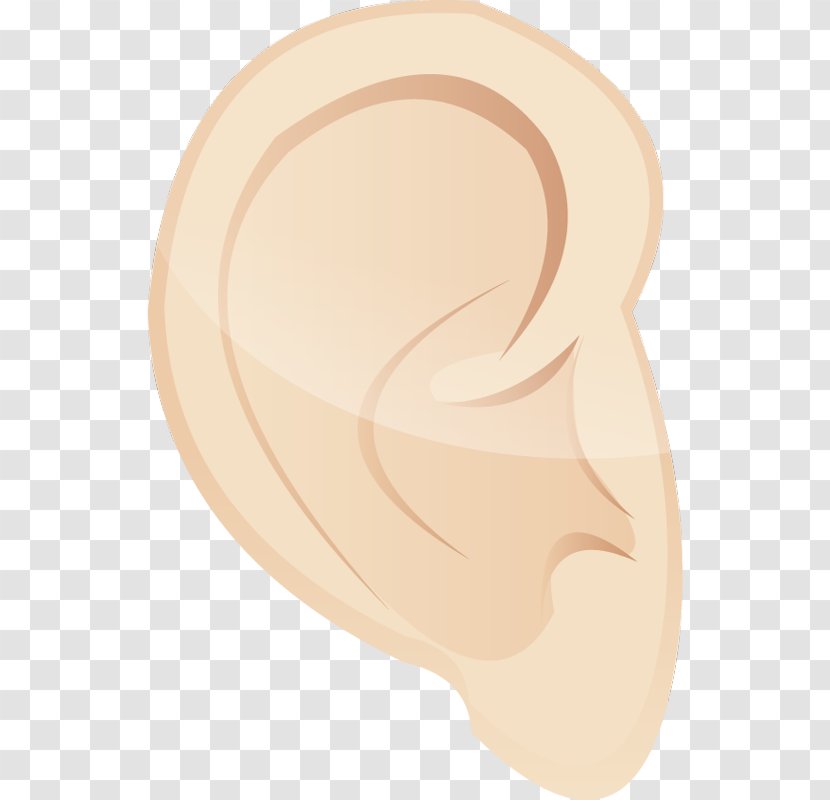 Ear Cheek Jaw Nose - Frame Transparent PNG