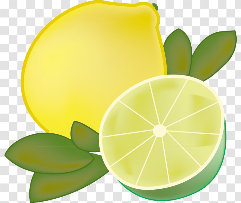 Lemon-lime Drink Limeade Sour - Lime Juice Transparent PNG