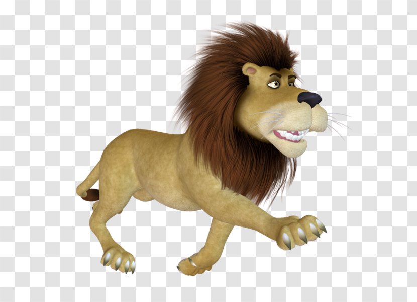 Lion Tiger Jaguar - Fur - Jw Transparent PNG