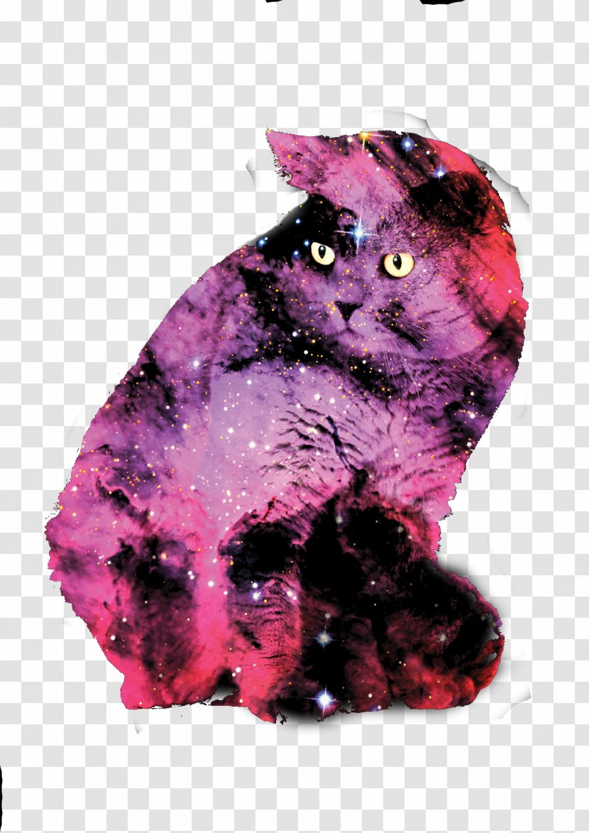 British Shorthair Labrador Retriever Black Cat Popular Names Galaxy - Pink - Sen Department Watercolor Suitcase Transparent PNG
