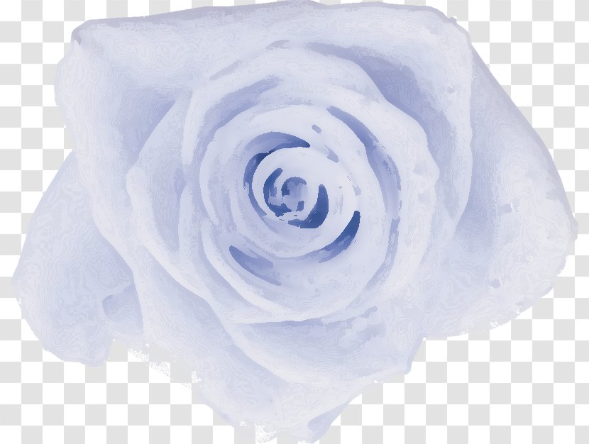 Garden Roses Cabbage Rose Blue Cut Flowers Petal - Green Transparent PNG