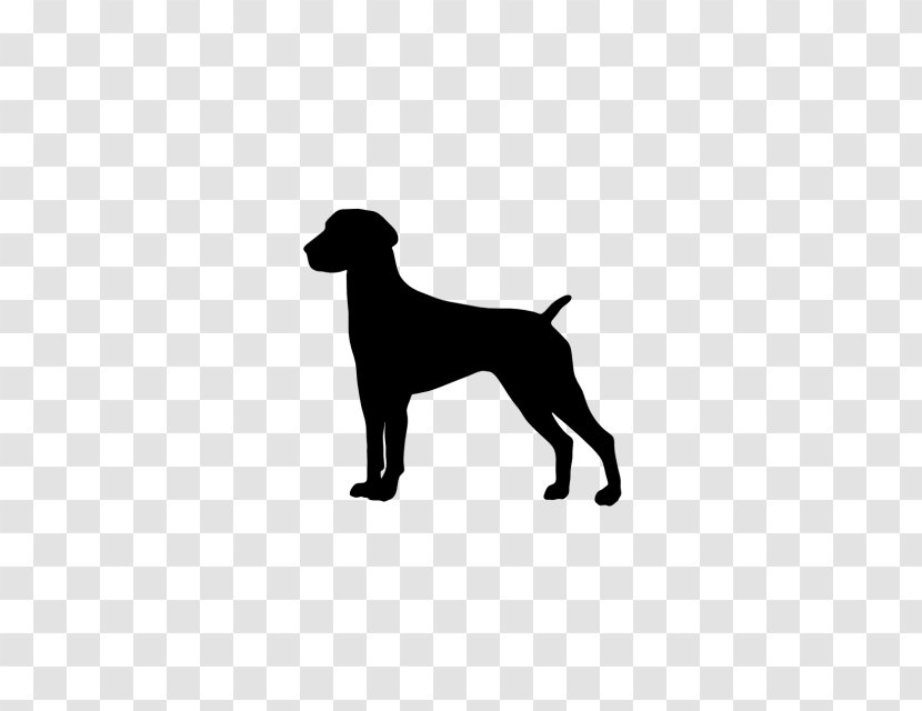 Labrador Retriever German Shorthaired Pointer Boxer Weimaraner - Puppy - Coat Transparent PNG