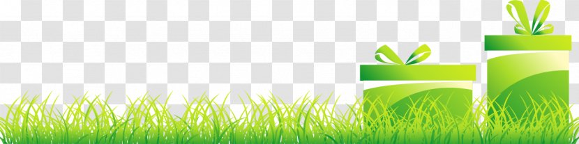 Grasses Wallpaper - Grass - Fresh Spring Lawn Spree Transparent PNG