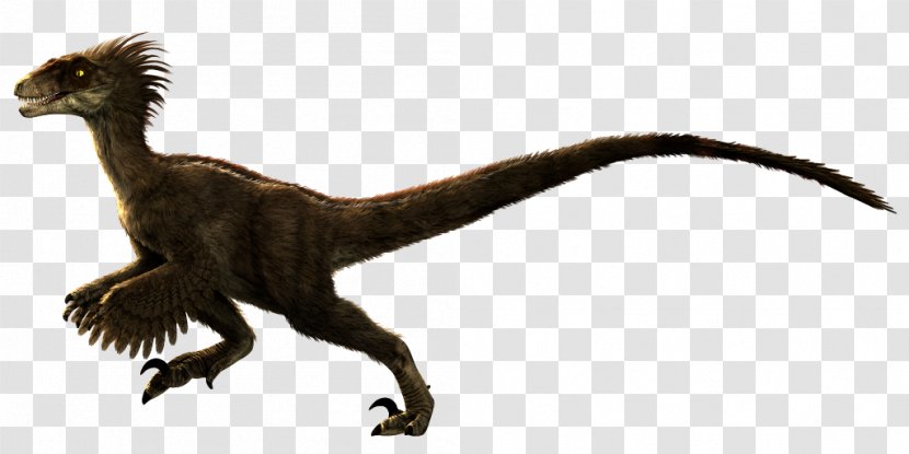 Velociraptor Primal Carnage: Extinction Tyrannosaurus Spinosaurus - Feather Transparent PNG