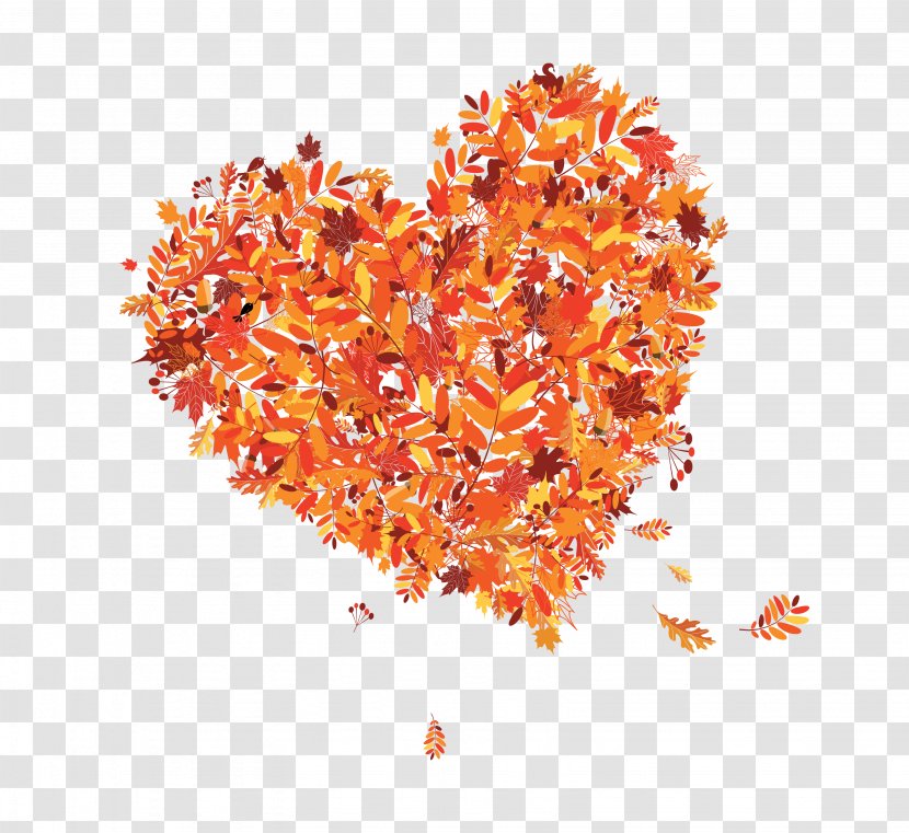 Autumn Leaf Color Yellow - Petal - Leaves Parallel To Love 1 Transparent PNG