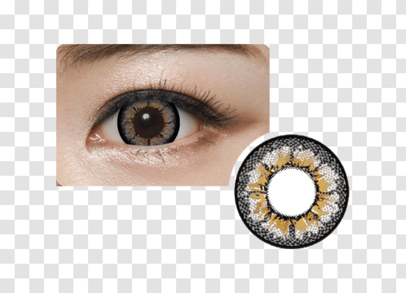 Contact Lenses Cafe Circle Lens Cappuccino - Eyewear - Eye Transparent PNG