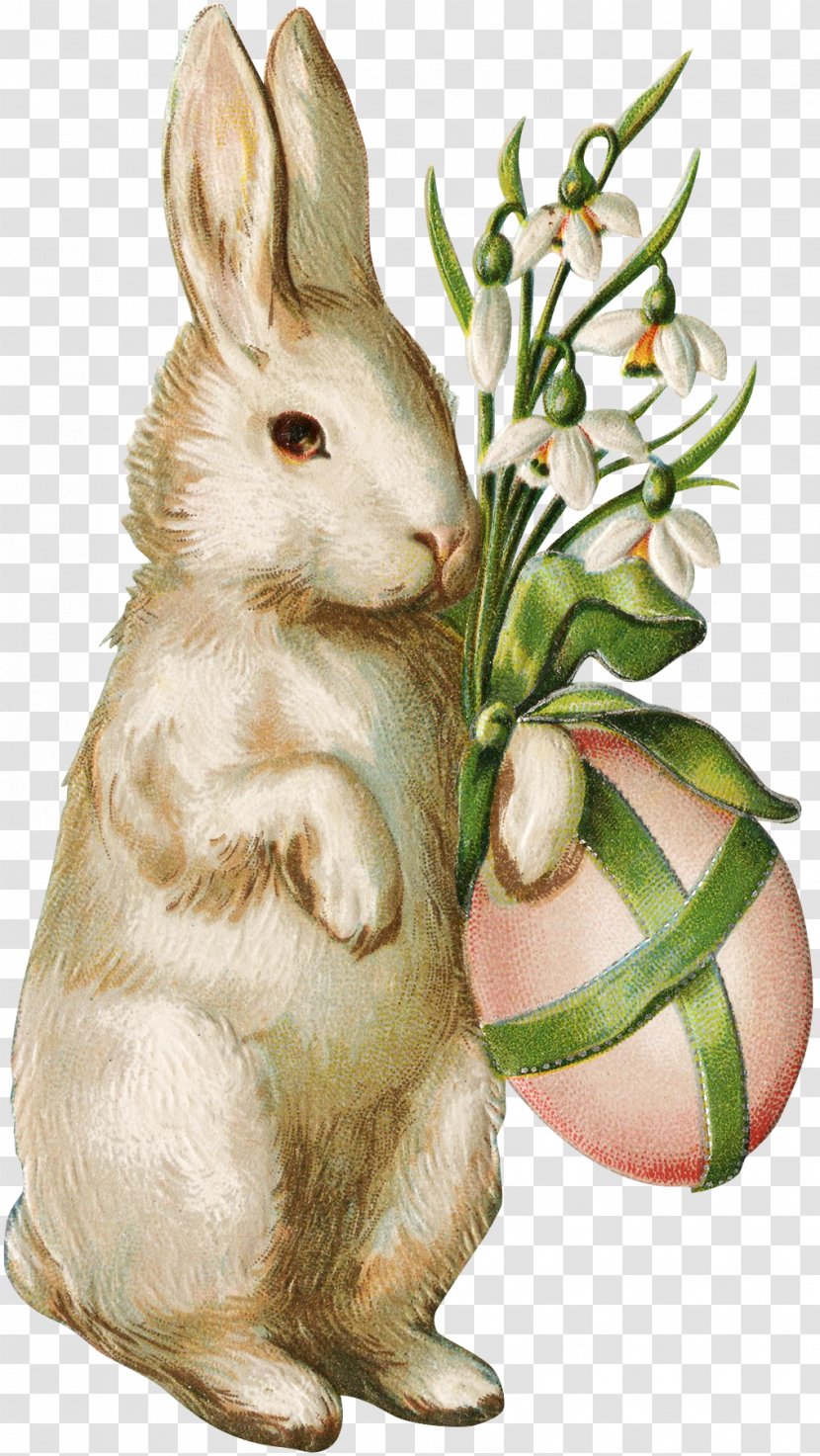 Easter Bunny Wedding Invitation Egg Postcard - Christmas Card Transparent PNG