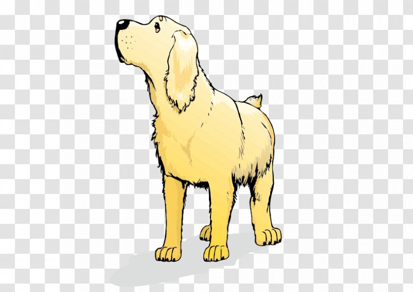 Golden Retriever Labrador Goldendoodle Labradoodle Italian Greyhound - Mammal - Cartoon Transparent PNG