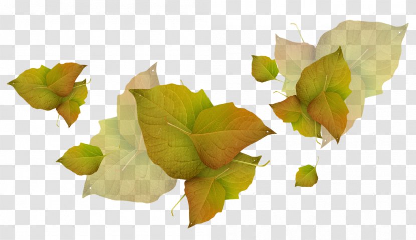 Image Clip Art Psd Leaf Transparent PNG