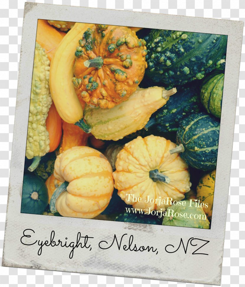 Pumpkin 3 Little Letters Winter Squash Gourd Food - Calabaza Transparent PNG