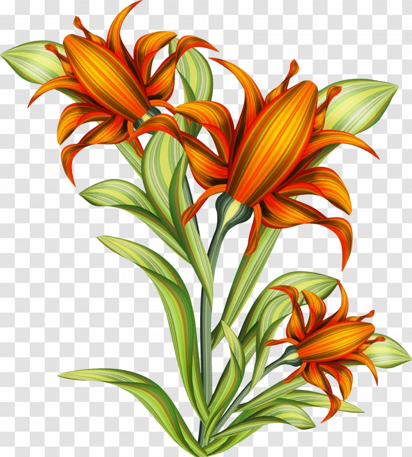 Drawing Flower Clip Art - Floral Design Transparent PNG