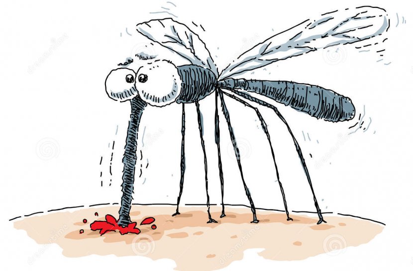 Mosquito Cartoon Royalty-free Animal Bite Clip Art - Pollinator - Lifebuoy Transparent PNG