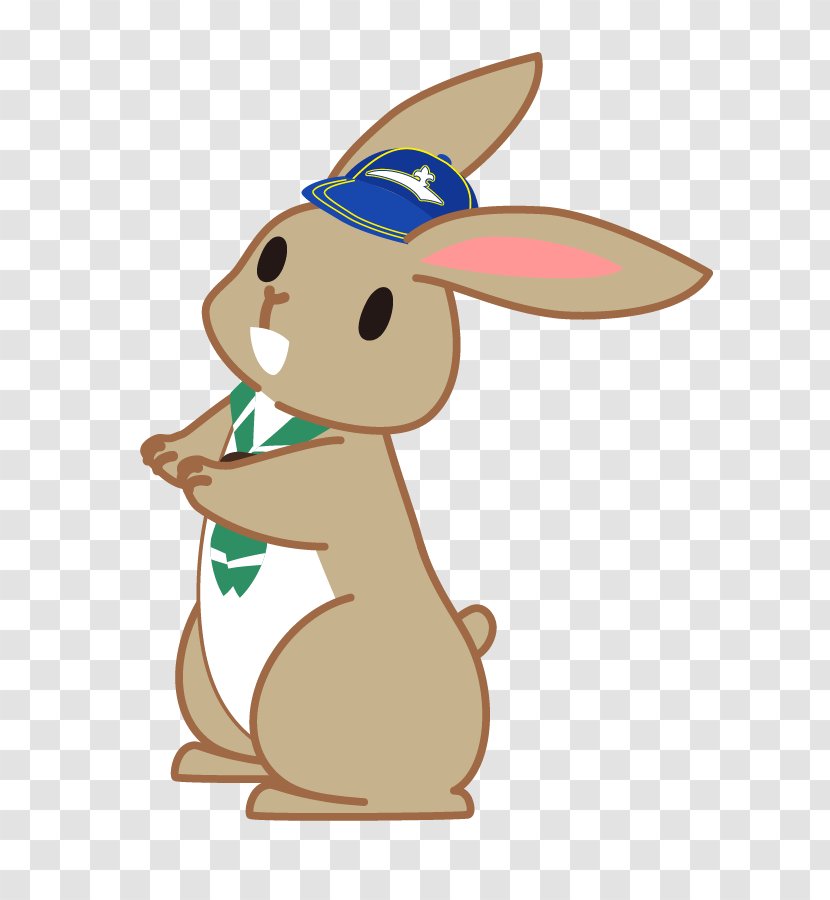 Domestic Rabbit Easter Bunny Hare Macropodidae - Vertebrate Transparent PNG