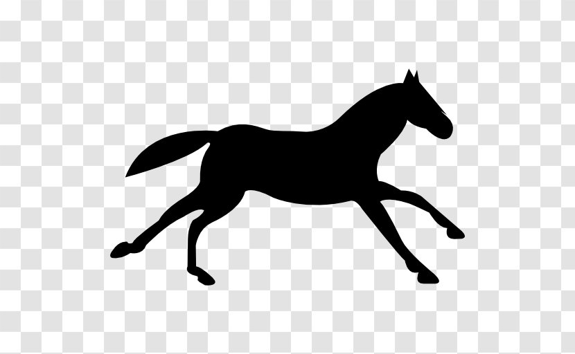 Appaloosa Equestrian Black - Livery Yard - Running Horse Transparent PNG