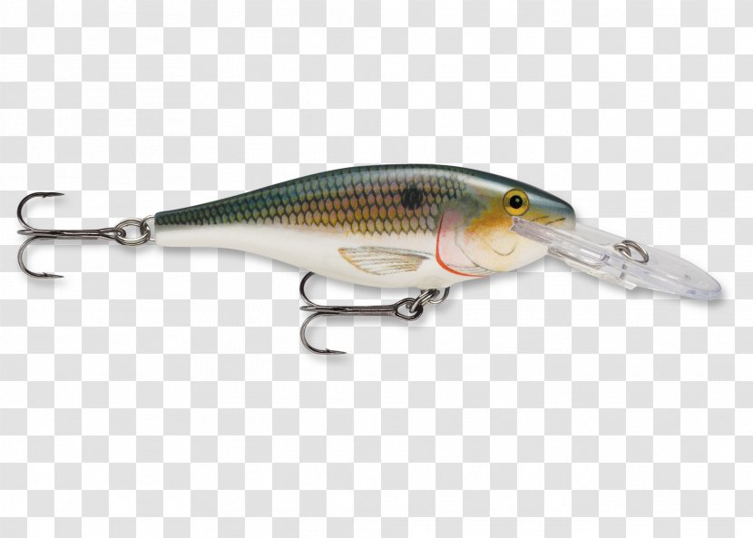 Plug Rapala Fishing Baits & Lures Shad - Frame Transparent PNG