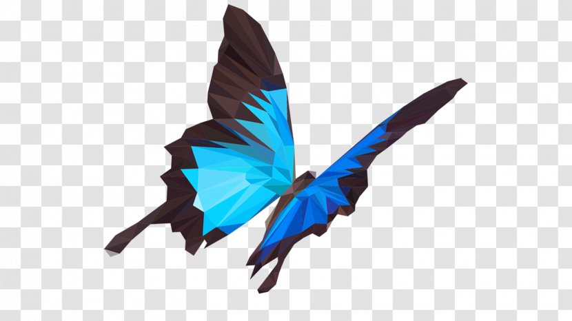 Ulysses Butterfly Insect Image Illustration - Moths And Butterflies Transparent PNG