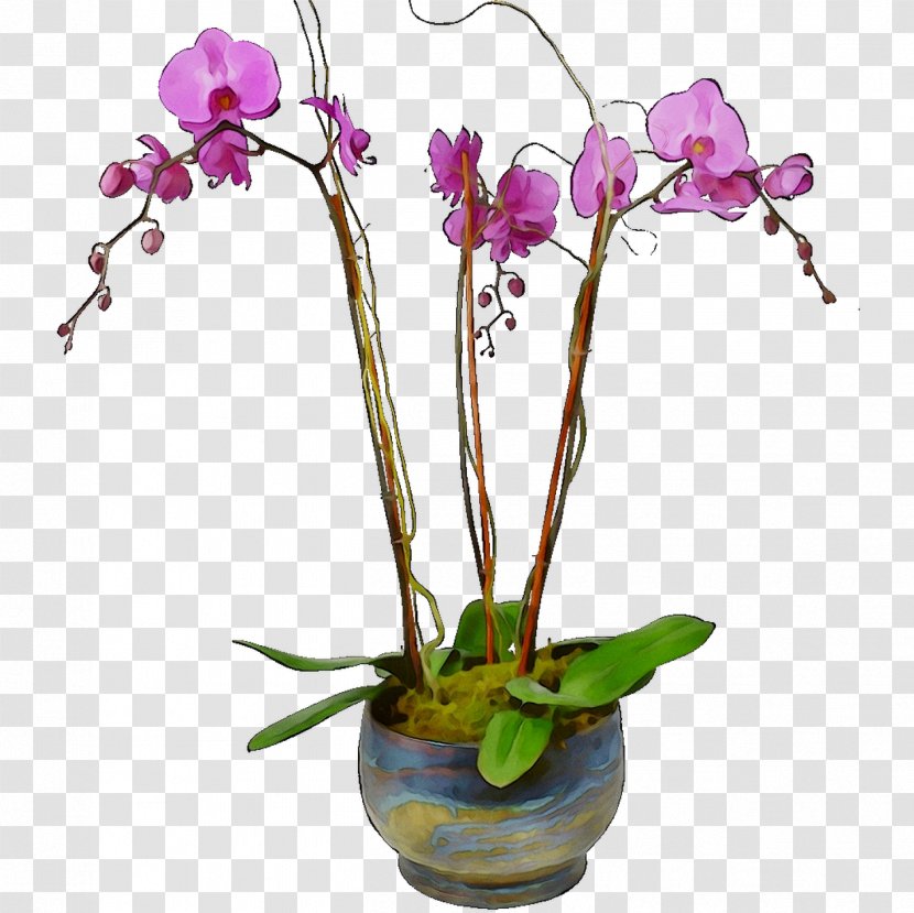 Moth Orchids Cut Flowers Floral Design Artificial Flower - Purple Transparent PNG