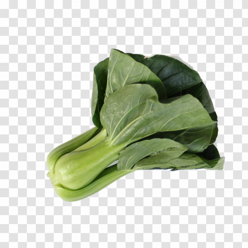 Romaine Lettuce Choy Sum Leaf Vegetable Spring Greens - Green - Cabbage Transparent PNG