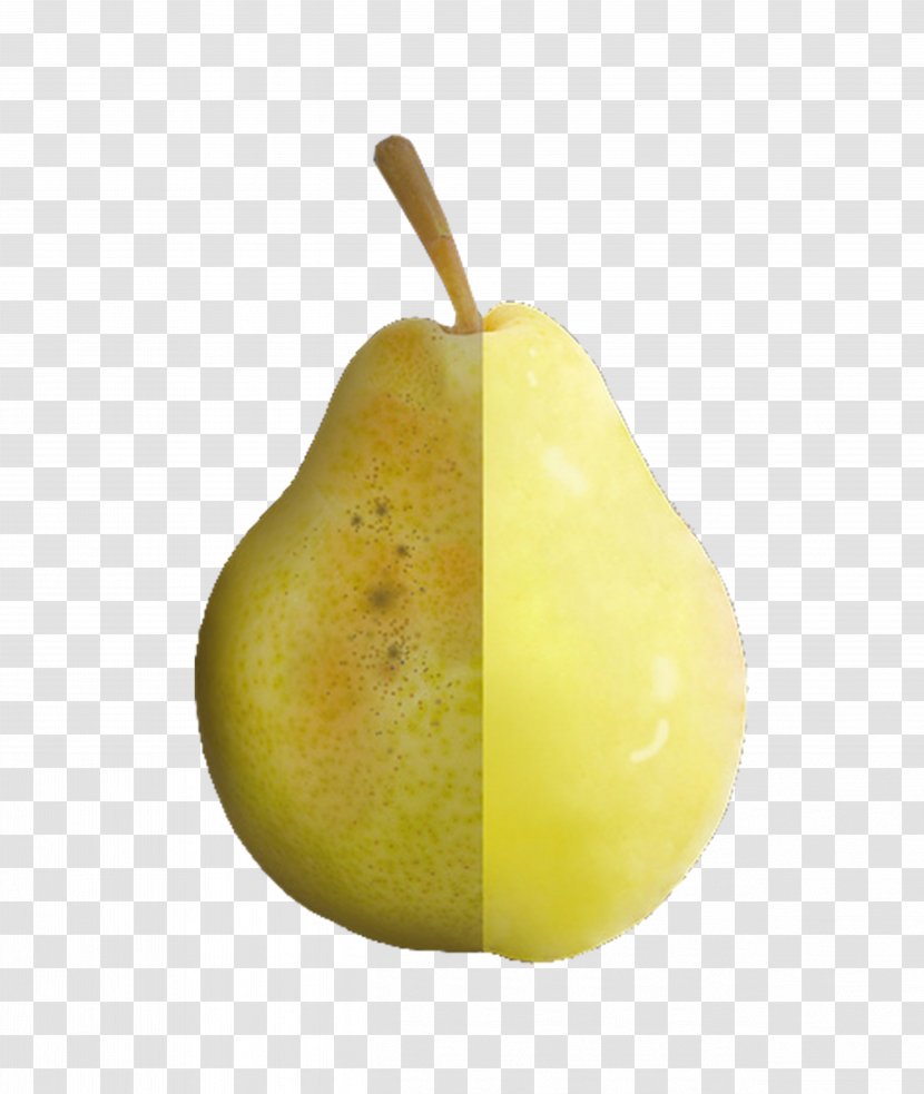 Pear Download Icon - Resource - Half Smooth Rough Transparent PNG