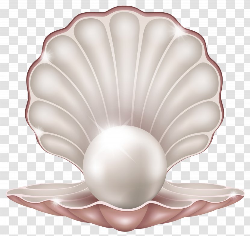 Pearl Royalty-free Clip Art - Beautiful Clam With Clipart Image Transparent PNG