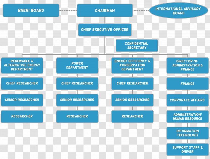Organizational Structure Chart Diagram Chief Executive - Text Transparent PNG