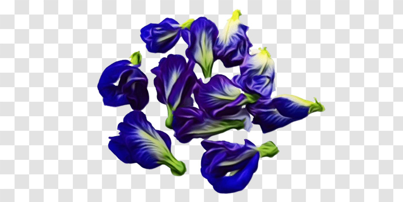 Cut Flowers Violet Cobalt Blue / M Petal Cobalt Blue / M Transparent PNG