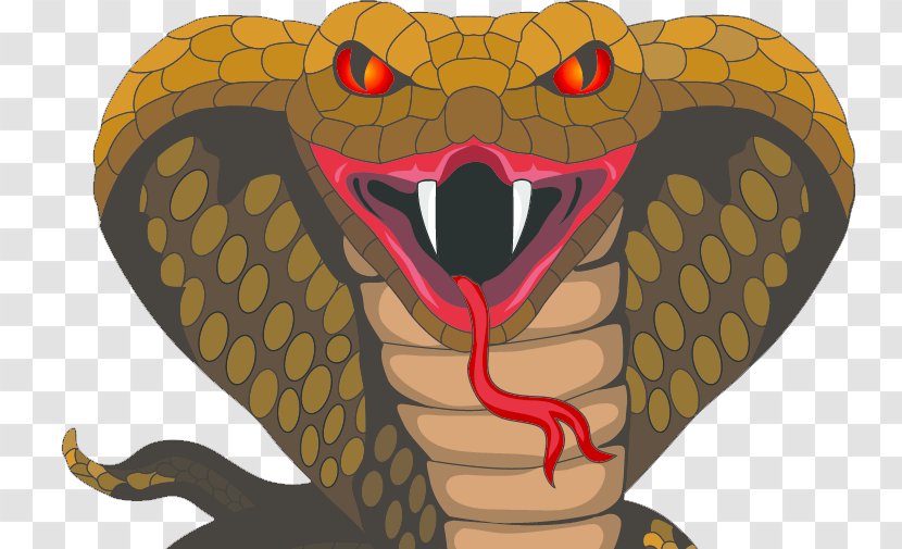 Snake Cartoon - Viper Rattlesnake Transparent PNG