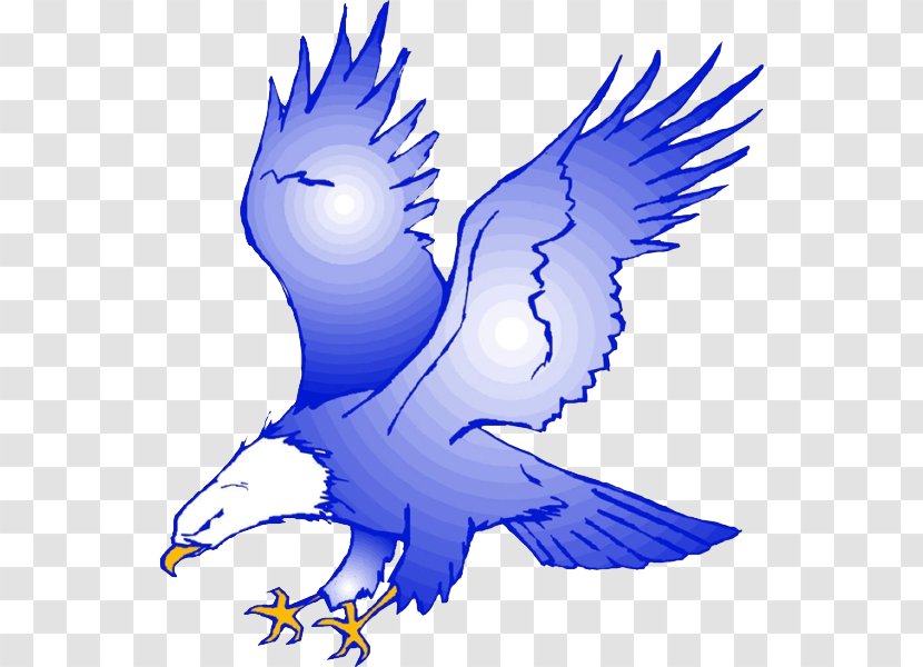 Eagle Royalty-free Clip Art - Organism - Blue Transparent PNG