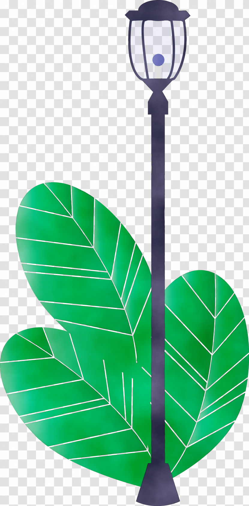 Green Leaf Plant Transparent PNG