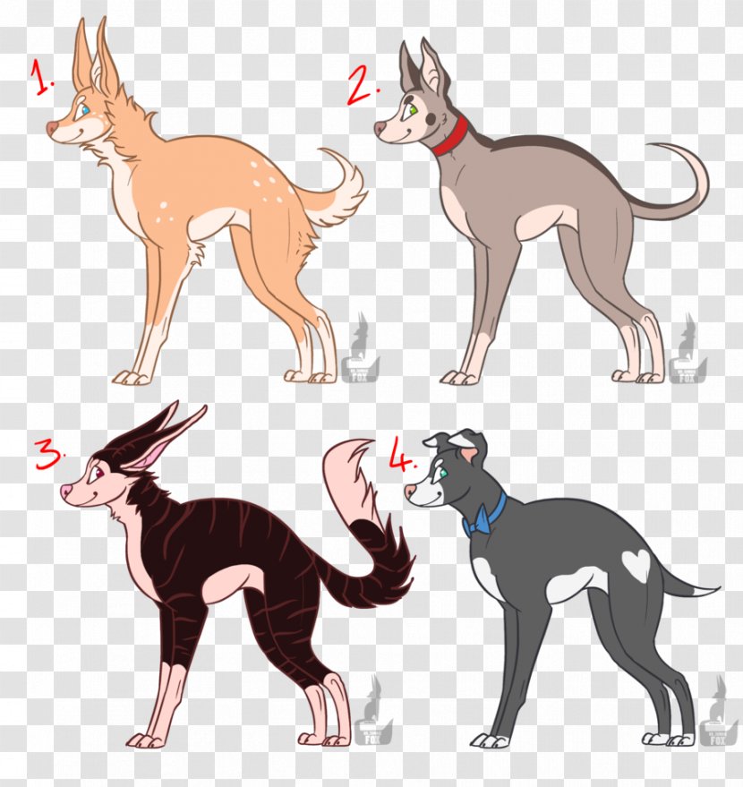 Italian Greyhound Whippet Dog Breed Spanish Cat - Vertebrate Transparent PNG