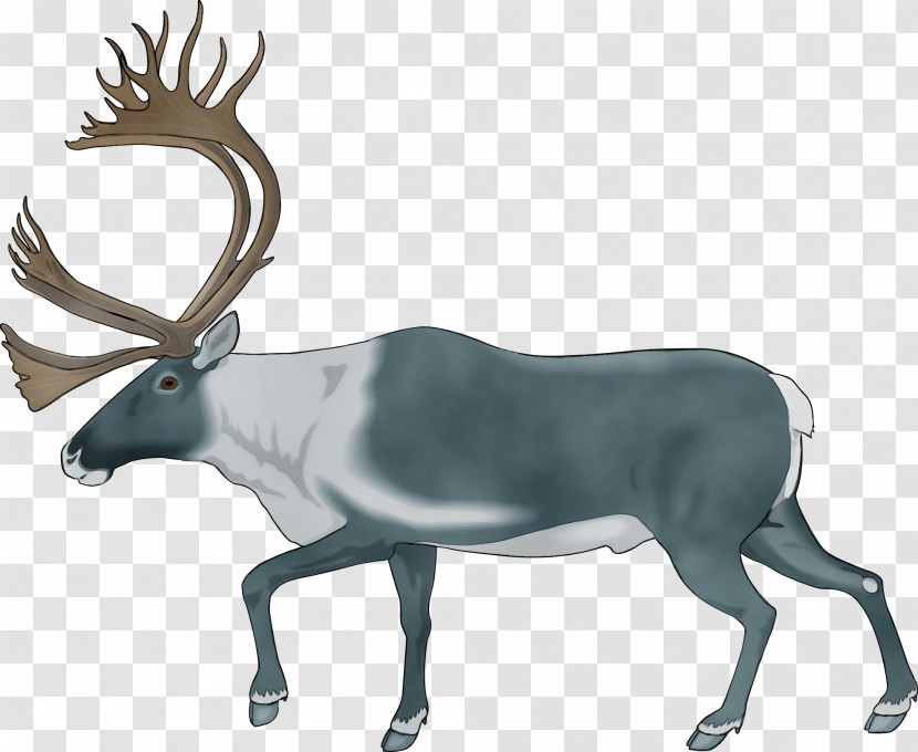 Reindeer Transparent PNG