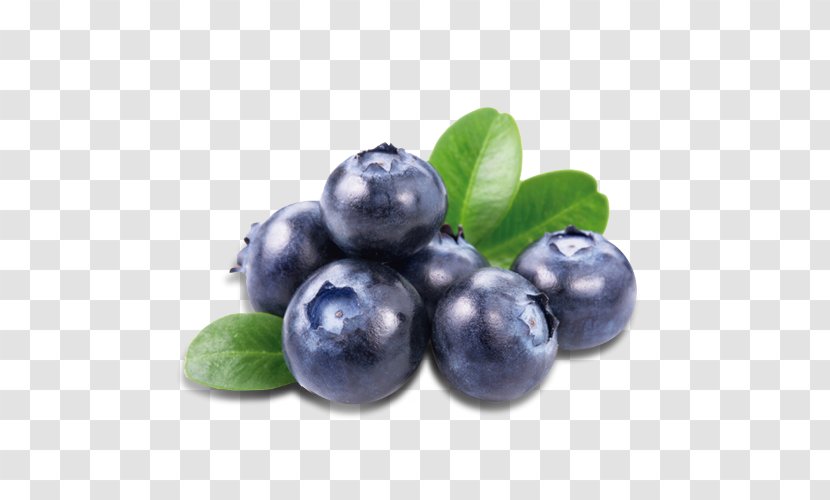 Blueberry Bash Bilberry Fruit Juice - Highbush Transparent PNG