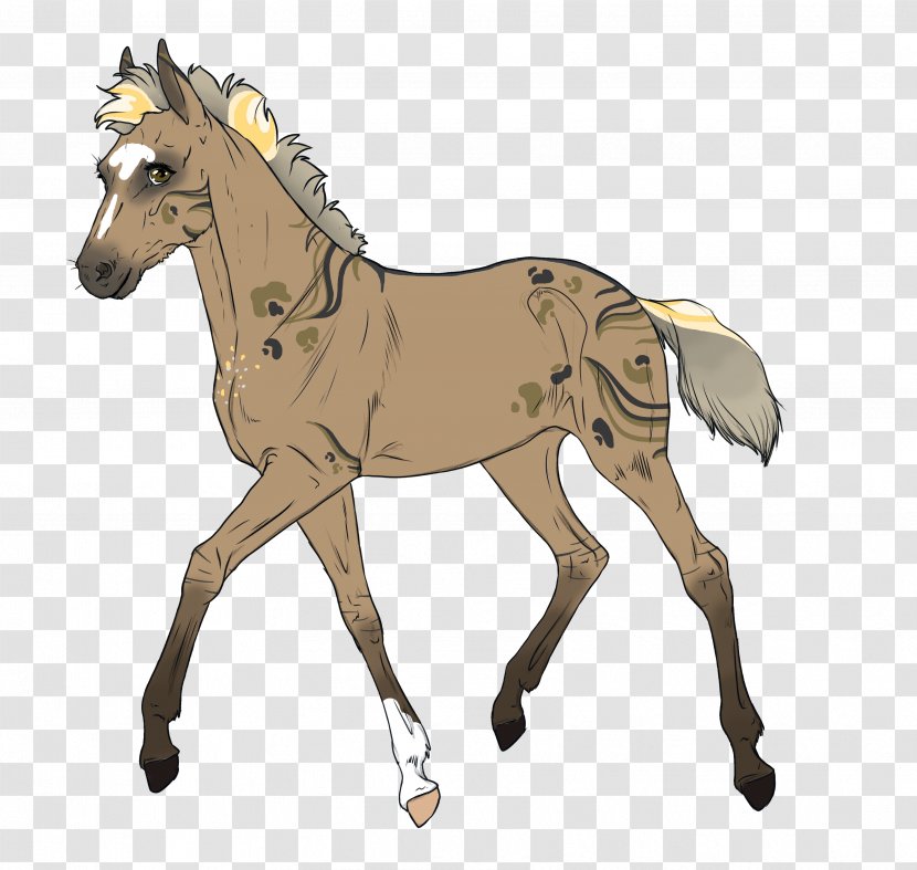 Mule Mustang Stallion Foal Pony - Horse Transparent PNG