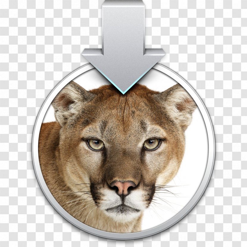 OS X Mountain Lion Mac MacOS Installation - Installer Transparent PNG