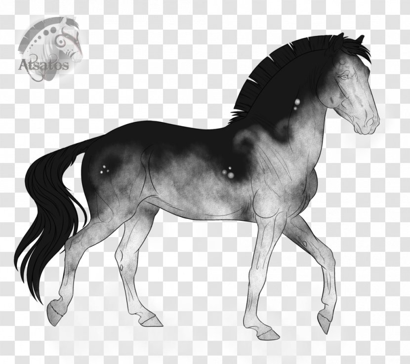 Mane Foal Stallion Mustang Mare - Livestock - Snow Storm Transparent PNG