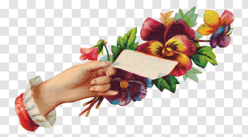 Cut Flowers Floral Design Clip Art Paper - Petal - Gx Transparent PNG