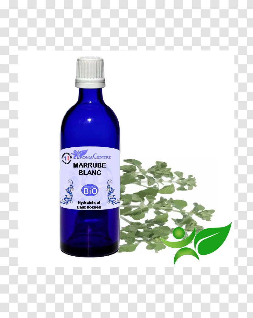 Herbal Distillate Anise Essential Oil Aromatherapy Cinnamomum Verum - Illicium Transparent PNG