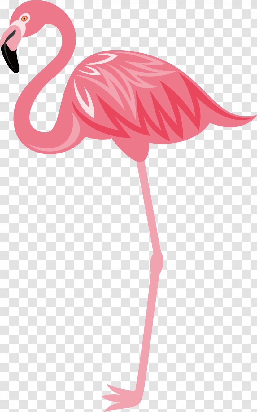 Flamingos Bird Euclidean Vector - Animal - Hand-painted Transparent PNG