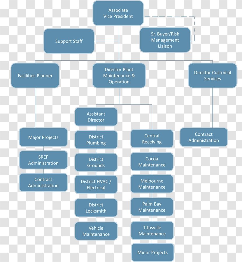 Organizational Chart Diagram Structure - Organization Transparent PNG