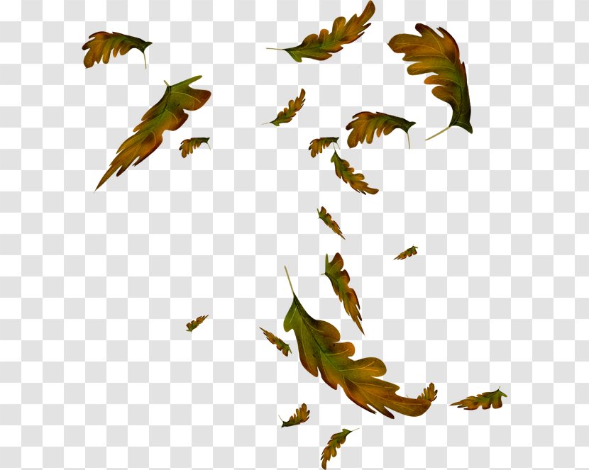 Leaf Animation Drawing Autumn Clip Art - Tree Transparent PNG