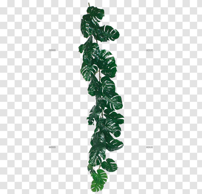 Jungle Old-growth Forest Green Leaf Liana - Garland Transparent PNG