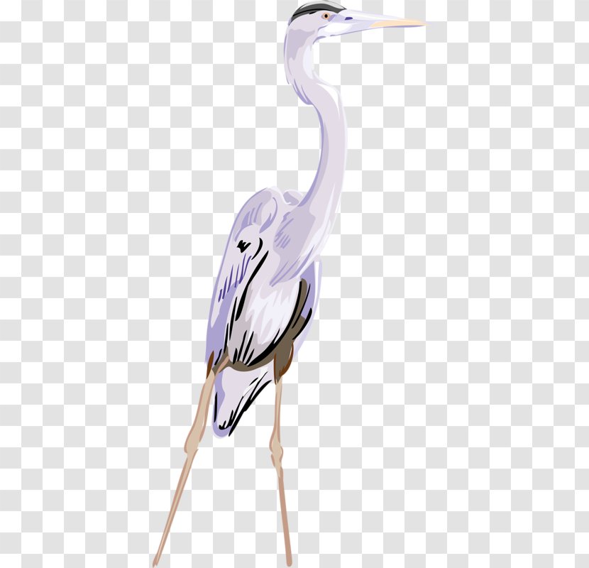Crane Great Egret Clip Art - Water Bird - Cartoon Transparent PNG