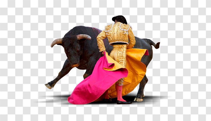Bullring Spanish-style Bullfighting La Tauromachie - Event - Torero Transparent PNG